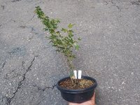 20220709_185115.jpg