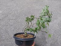 20220710_074537.jpg