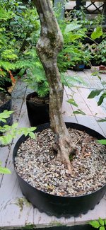 20220803_071415.jpg