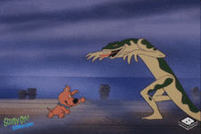 54AD8F5B-74FE-4157-88E4-7A8E16EF26F6.gif