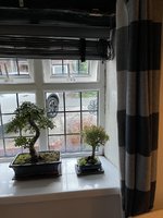IMG_4024.jpeg