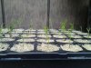 20140502_175727.jpeg