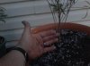 20140511_204217.jpg
