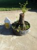 20140515_182300.jpg