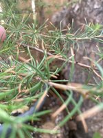 7A28BFA8-EA1E-4171-A323-B1312B10CE23.jpeg