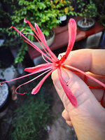 IMG20220904172413(1).jpg IMG20220904172413(1).jpg