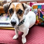 IMG_3460.JPG IMG_3460.JPG