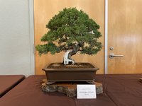 IMG_4341.jpg
