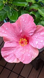 PXL_20220911_215907220.jpg PXL_20220911_215907220.jpg