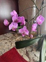 IMG_3354.JPG IMG_3354.JPG