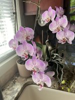 IMG_3357.JPG IMG_3357.JPG