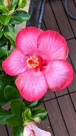 PXL_20220913_160040668.jpg PXL_20220913_160040668.jpg