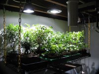 IMG_6775.JPG