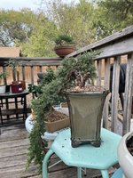 8727309B-E6FE-4504-A068-4D56D8EE8097.jpeg