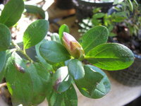IMG_6783.JPG
