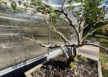 0A96ABA0-E802-4EDB-ACDE-9B124800B90F.jpeg 0A96ABA0-E802-4EDB-ACDE-9B124800B90F.jpeg