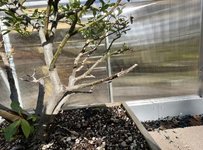 DC371BF4-2B28-447C-A7FA-CE3BDD8CEEC5.jpeg DC371BF4-2B28-447C-A7FA-CE3BDD8CEEC5.jpeg