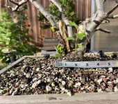 16FF1142-7C25-46ED-9932-79B0D9EEEEA0.jpeg 16FF1142-7C25-46ED-9932-79B0D9EEEEA0.jpeg