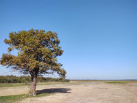 PSX_20221015_122224.jpg