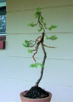 DSCN9807 (2).JPG