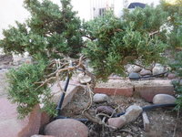 DSCF2172.JPG