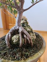 20221119_140317.jpg
