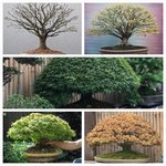 20221122_184139.jpg 20221122_184139.jpg