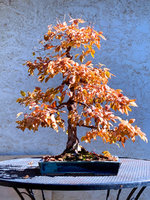 IMG_7710_edited.jpg