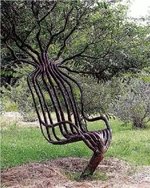 tree chair.jpg