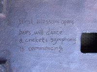 IMG_7776.JPG IMG_7776.JPG