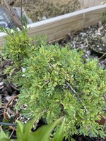 1670688913064.jpeg 1670688913064.jpeg