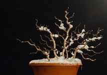 20221211_205209.jpg 20221211_205209.jpg