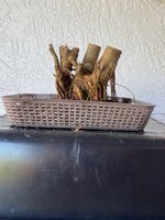 IMG_9824.JPG