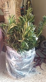 IMG_20221227_104704_531.jpg