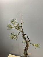 IMG_2689.JPG