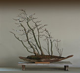 IMG_2873 copy.jpg