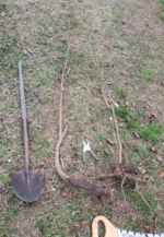 1672983899182.png 1672983899182.png