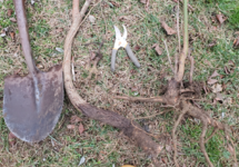 1672983938284.png 1672983938284.png