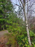 20230104_092544.jpg