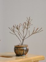 20230113_115729.jpg