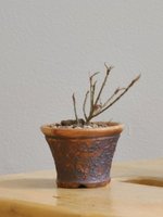 20230113_115717.jpg