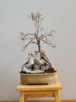 20230113_114554.jpg