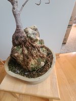 20230113_112840.jpg