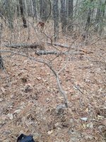 20230112_092519.jpg