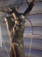 AE176BB1-F77C-4046-9867-58C3D6AD549A.jpeg