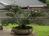 DSC08124-C.jpg