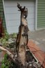 DSC06436.jpg
