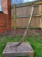 IMG20230205112406.jpg
