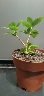 20230214_003511.jpg