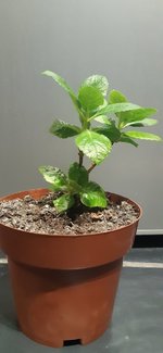 20230214_003503.jpg